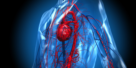 Circuito de Cardiometabolismo